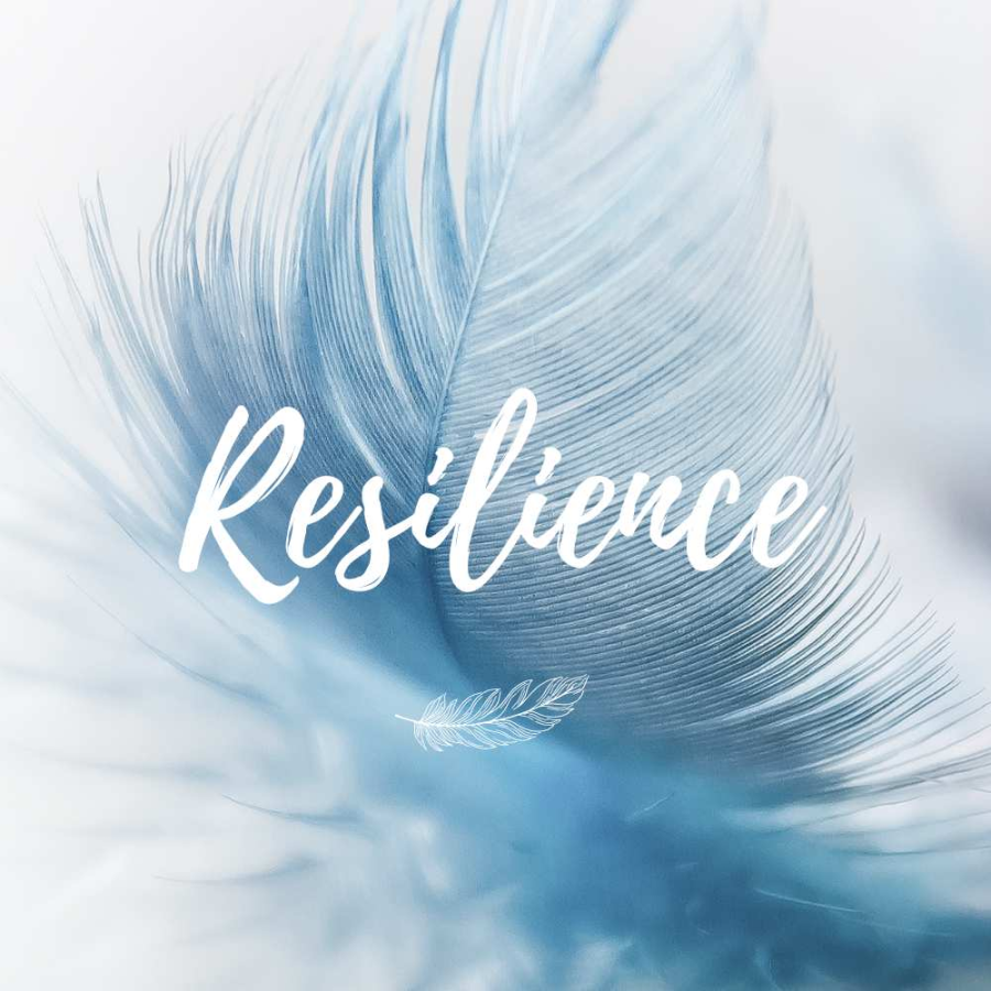 a blue feather on a white background with resilience text